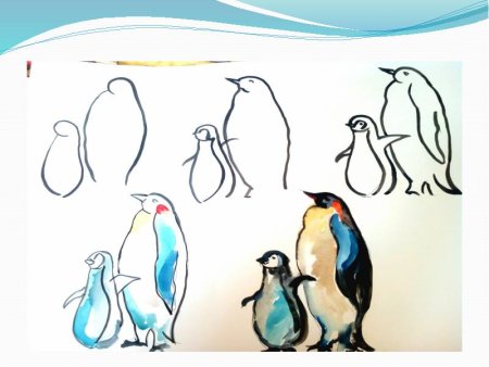 Этапы рисования пингвина для детей