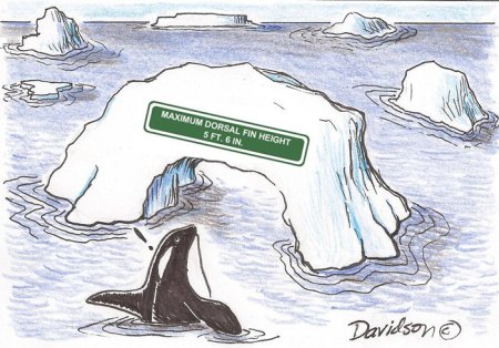 Рисунки связанные с Антарктидой