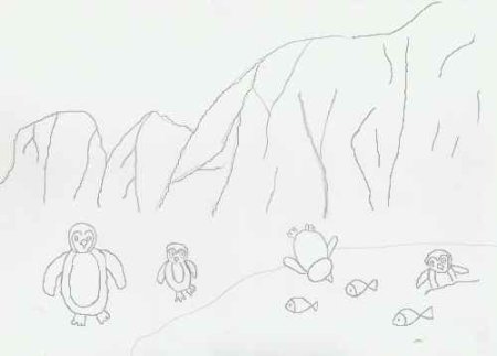 Как нарисовать моржа