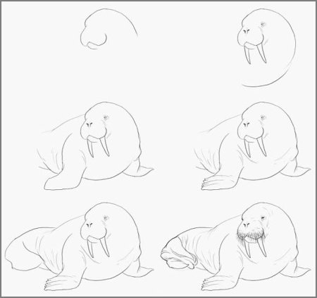 Арктика рисунок