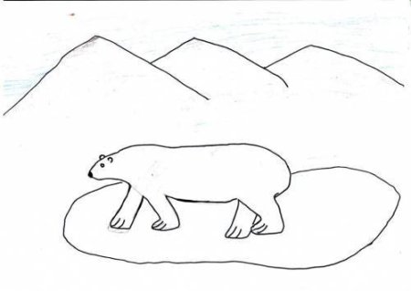 Животные севера задания для детей