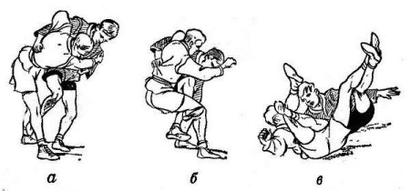 Самбо подсад стопой