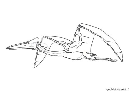 Птеродактиль рисунок пошагово