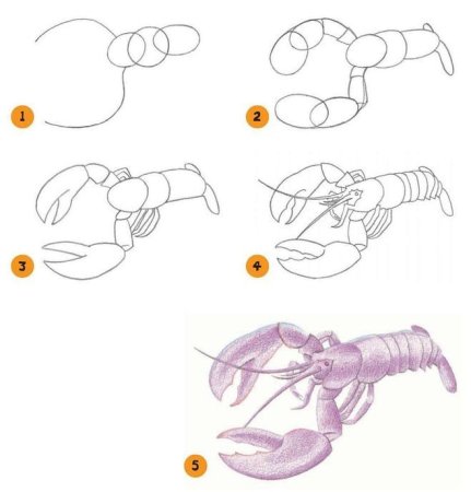 Поэтапный рисунок рака.