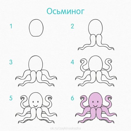 Поэтапное рисование морских обитателей для детей