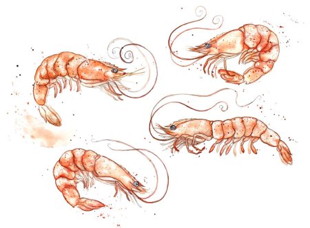 Ракк рисунок