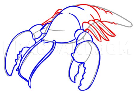Муравей рисунок карандашом