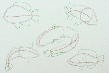 Рыбка пошаговое рисование