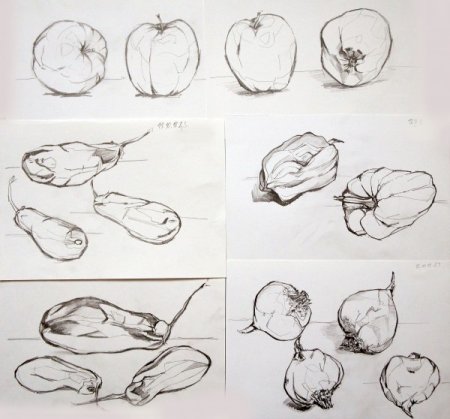 Поэтапное рисование кабачка