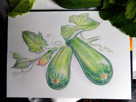 Нарисовать кабачок