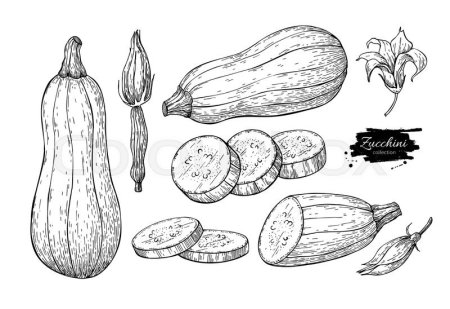 Кабачок стилизованный