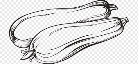 Кабачок рисунок