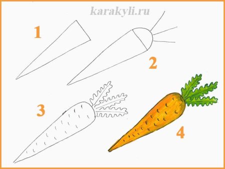 Поэтапное рисование овощей