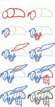 Рисуем пчелу поэтапно