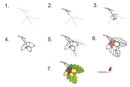 Поэтапное рисование насекомых