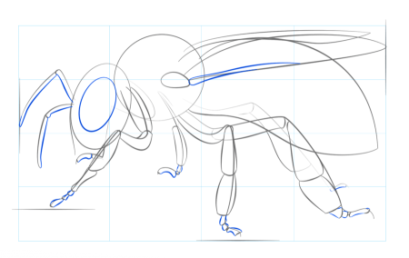 Нарисовать осу поэтапно