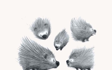 Дикобразик рисунок