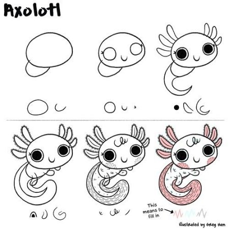 Аксолотль рисунок легкий
