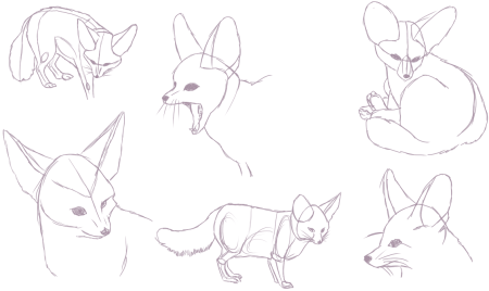 Лиса фенек референс