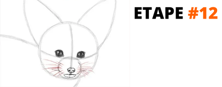 Фенек рисунок карандашом легкий