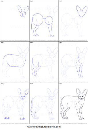 Рисование пошагово фенек