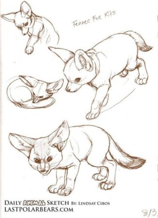 Фенек выкройка