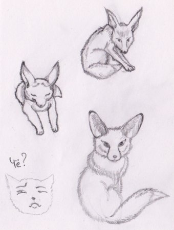 Уши лисы референс