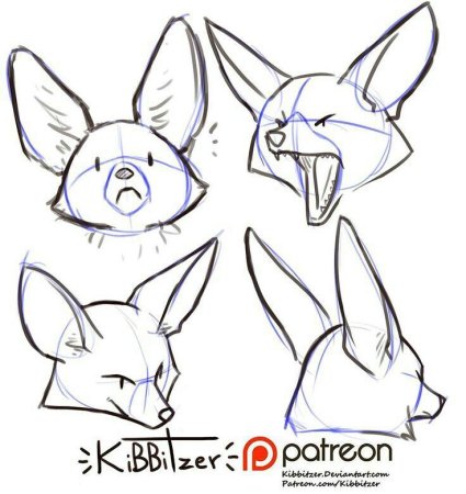 Лиса фенек референс