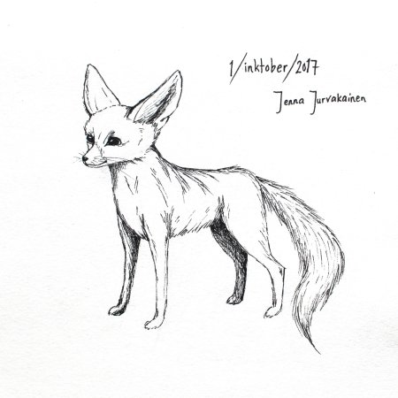 Фенек рисовать