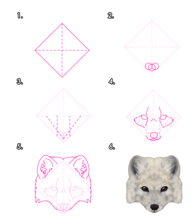 Фенек карандашом