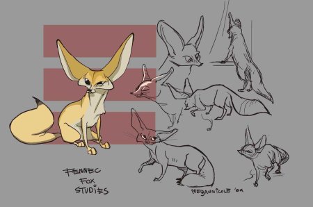 Лиса с разных ракурсов