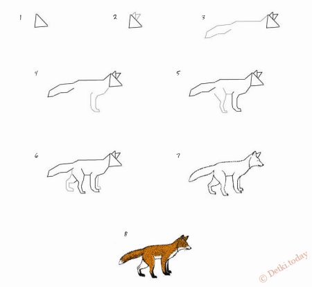 Поэтапное рисование волка для дошкольников
