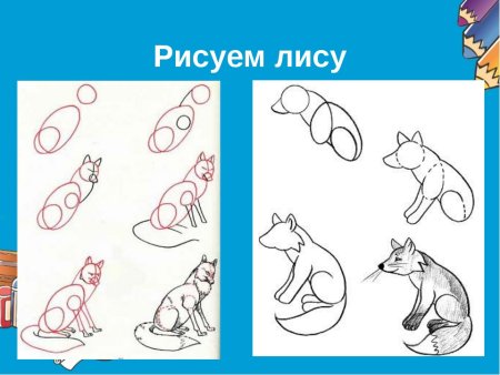 How to draw Fox