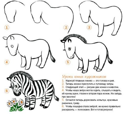Зебра рисунок поэтапно