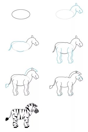 Поэтапное рисование зебры