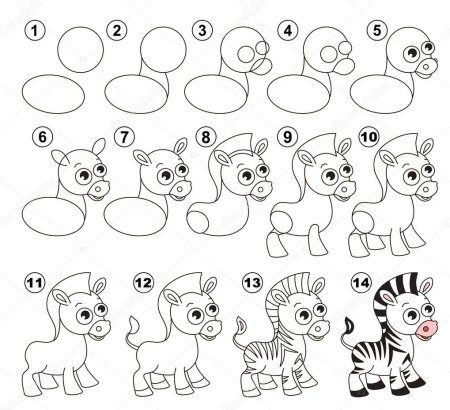 Наброски животных Зебра