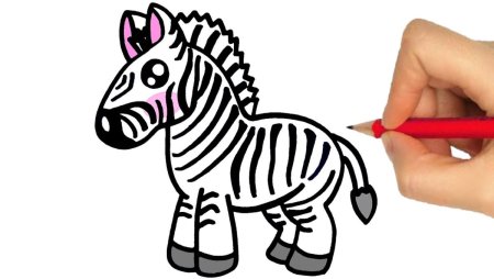 Пошаговое рисование кенгуру для детей