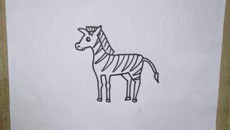 Схема первоклассника Зебра