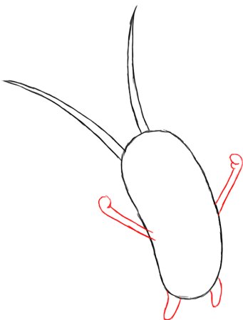 Планктон пошаговое рисование