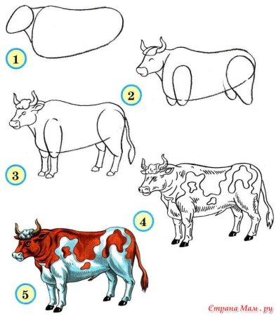 Поэтапное рисование животных