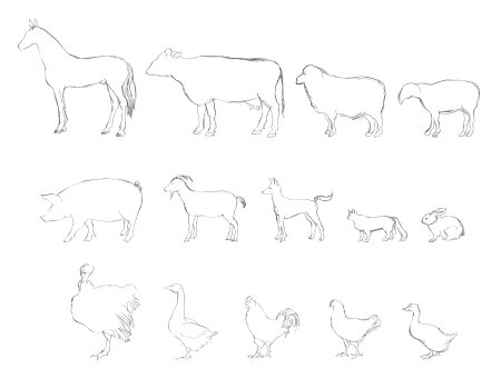 Рисуем поэтапно животные фермы