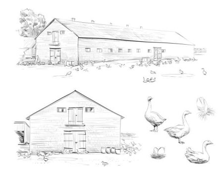 Ферма эскиз