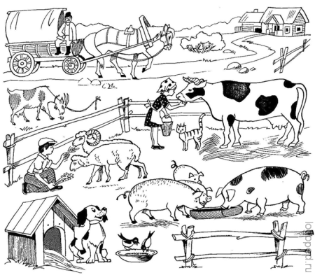 Задания по теме домашние животные