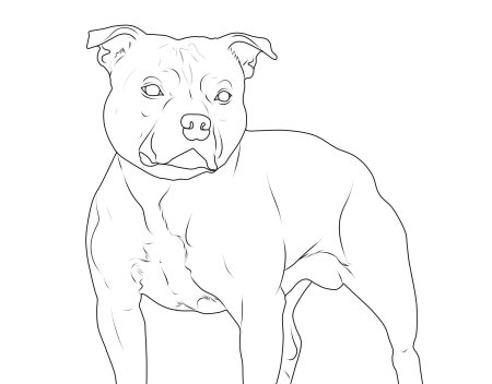 Американский стаффордширский терьер