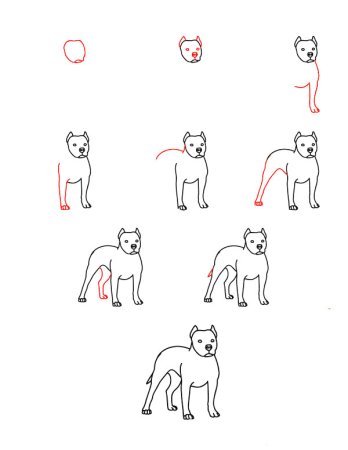 Как рисовать собаку