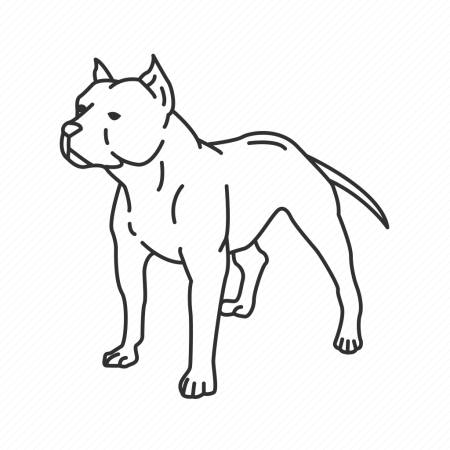 Контур стаффорда