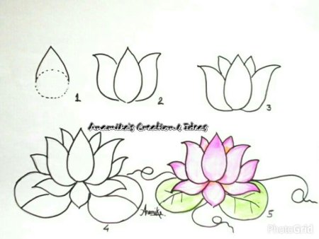 Пошаговый рисунок лотоса