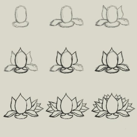 Схема рисования лотоса
