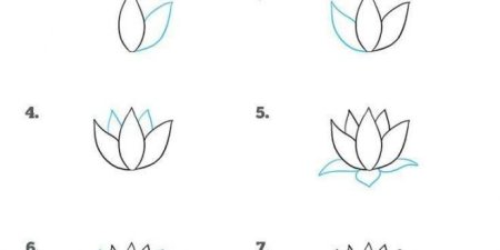 Лотос рисунок для детей поэтапно