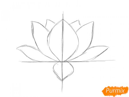 Лотос рисунок карандашом